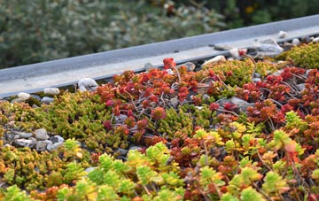 the cost of Lawshall Green green roof installation