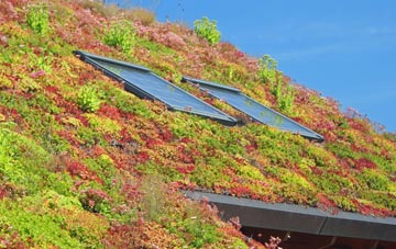 Lawshall Green living roof systems